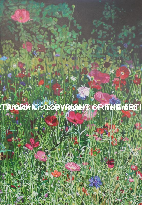 Flowers. Landscape